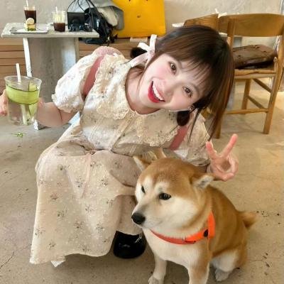 亲爱的白人 海报